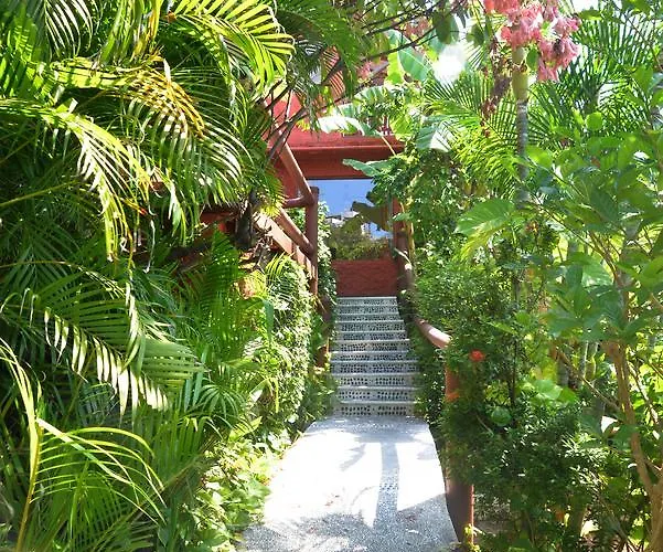 Hotel Aura Del Mar Zihuatanejo
